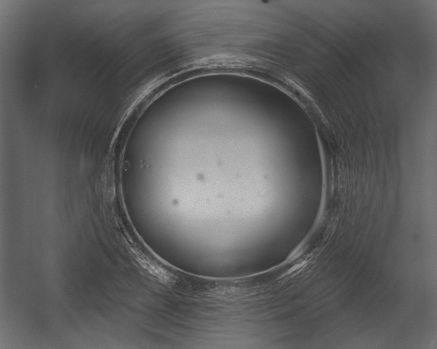 X0000054441075200508011423