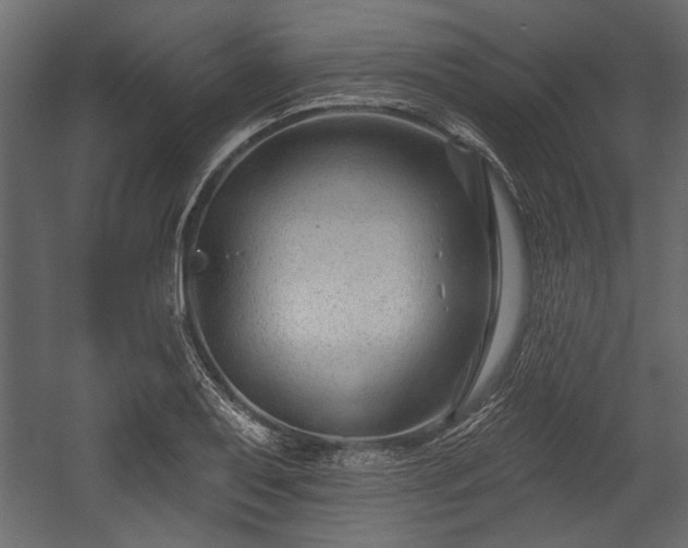 X0000054441079200508011423
