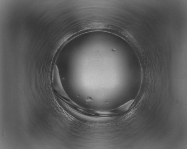 X0000054441081200508011423