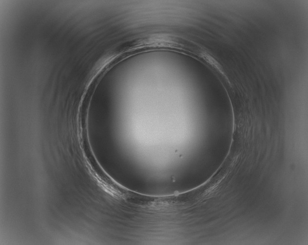 X0000054441082200508011423