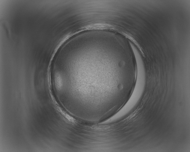 X0000054441083200508011423