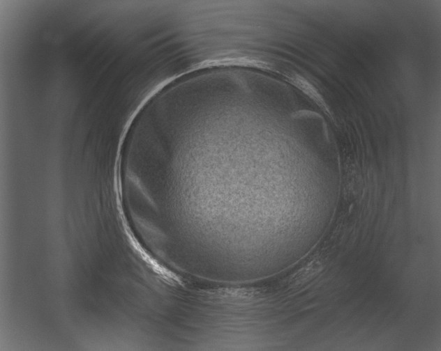 X0000054441084200508011423
