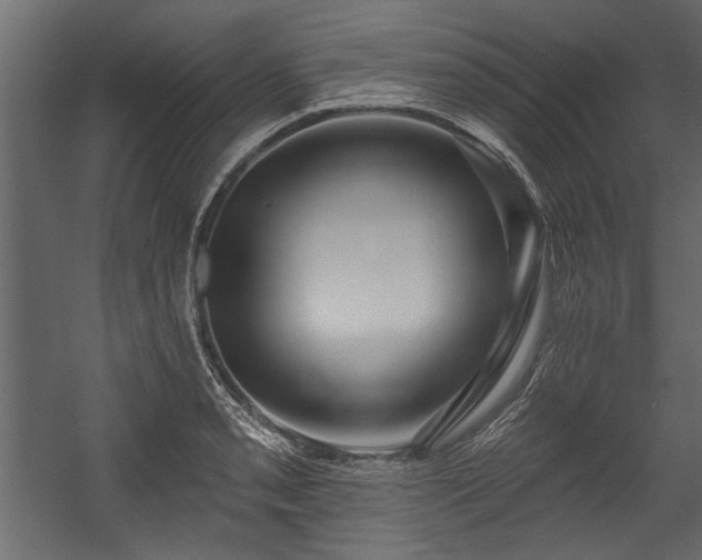 X0000054441085200508011423