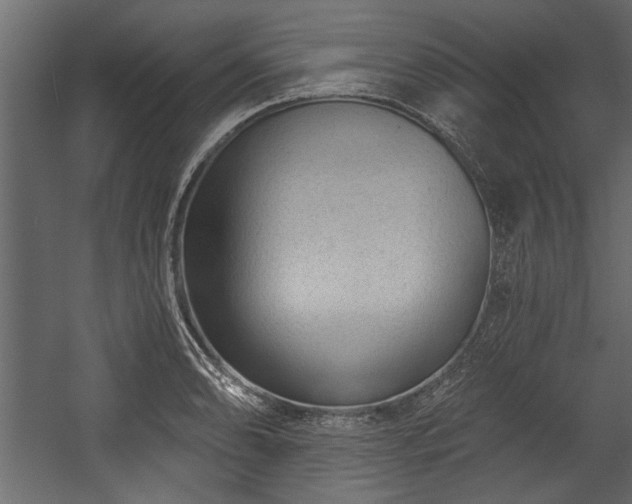 X0000054441086200508011423