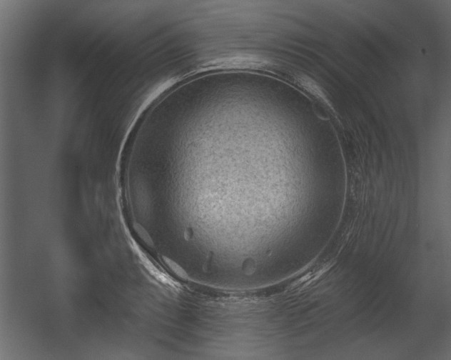 X0000054441087200508011423
