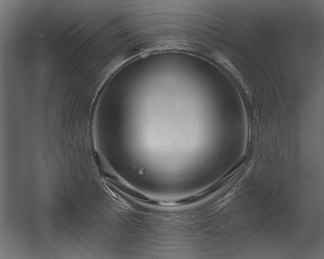 X0000054441089200508011423
