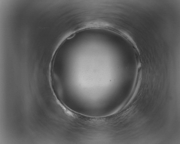 X0000054441103200508011423