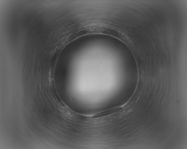 X0000054441108200508011422