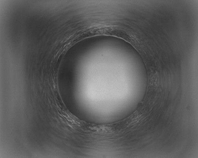 X0000054441109200508011422