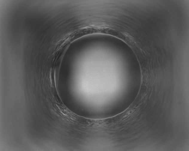 X0000054441110200508011422