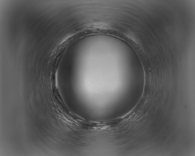 X0000054441112200508011422