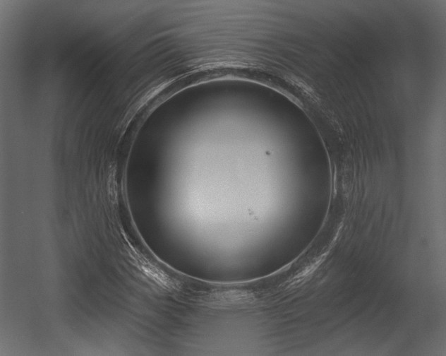 X0000054441113200508011422