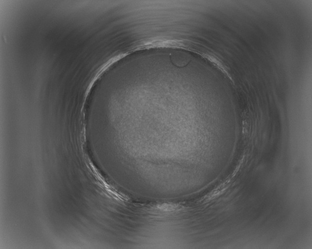 X0000054441117200508011422
