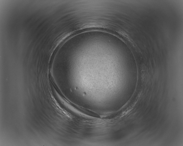 X0000054441121200508011422