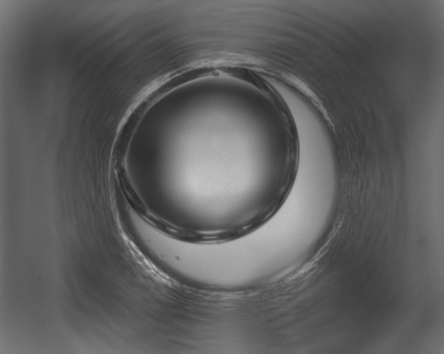 X0000054441122200508011422