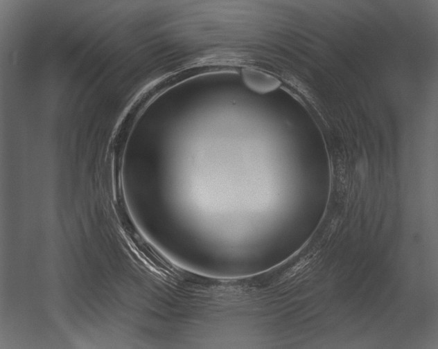 X0000054441123200508011422