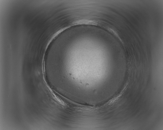 X0000054441125200508011422