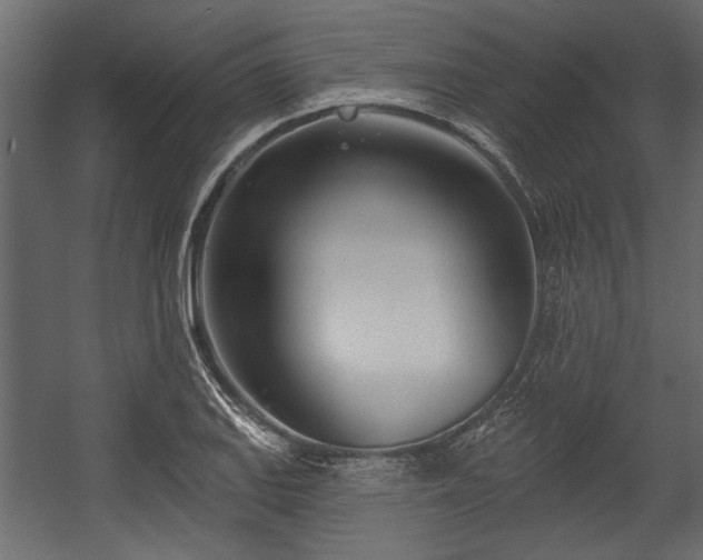 X0000054441127200508011422