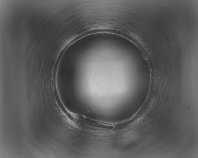 X0000054441129200508011422
