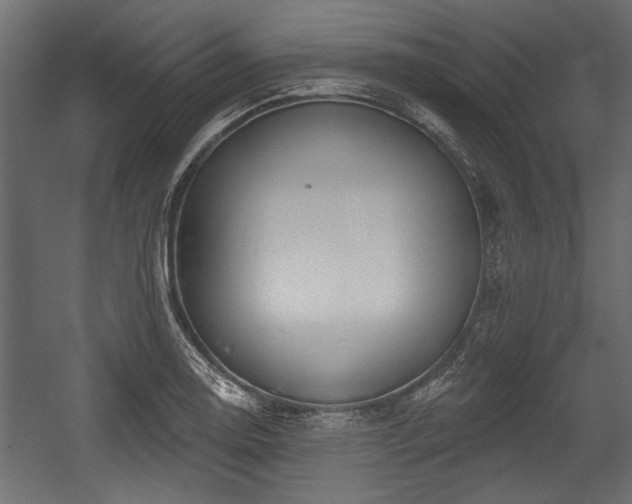 X0000054441130200508011423