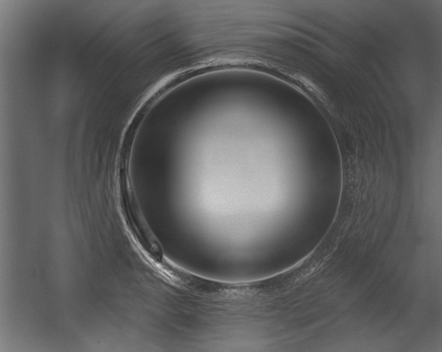 X0000054441134200508011423