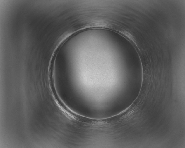 X0000054441135200508011423