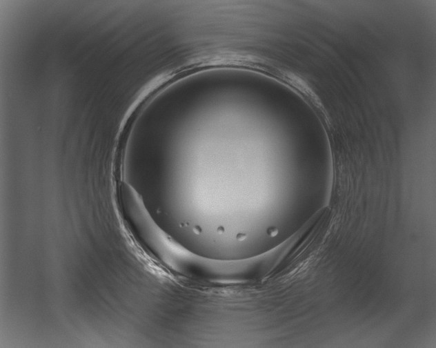 X0000054441138200508011423