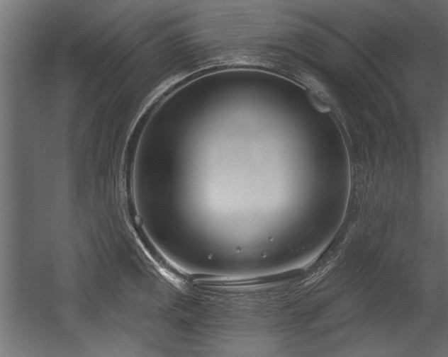 X0000054441141200508011423
