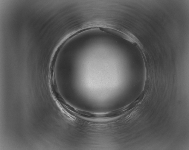 X0000054441144200508011423