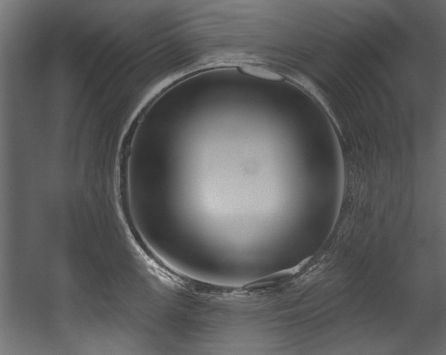 X0000054441147200508011423