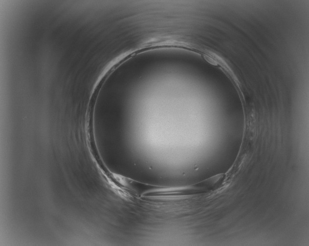 X0000054441149200508011423