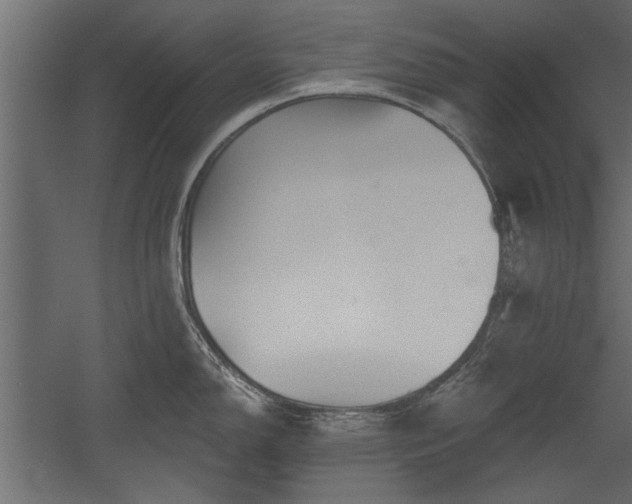 X0000054441150200508011423