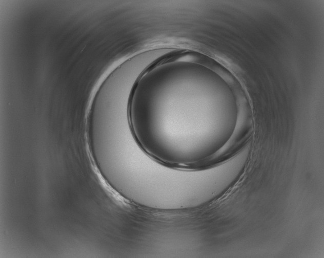 X0000054441152200508011423