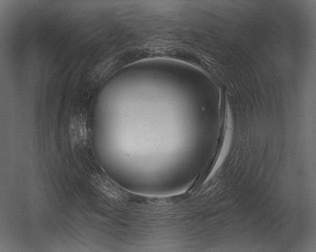 X0000054441155200508011422