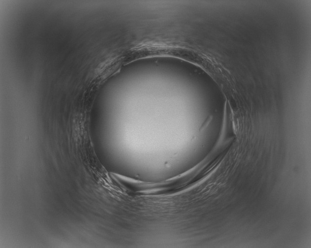 X0000054441157200508011422