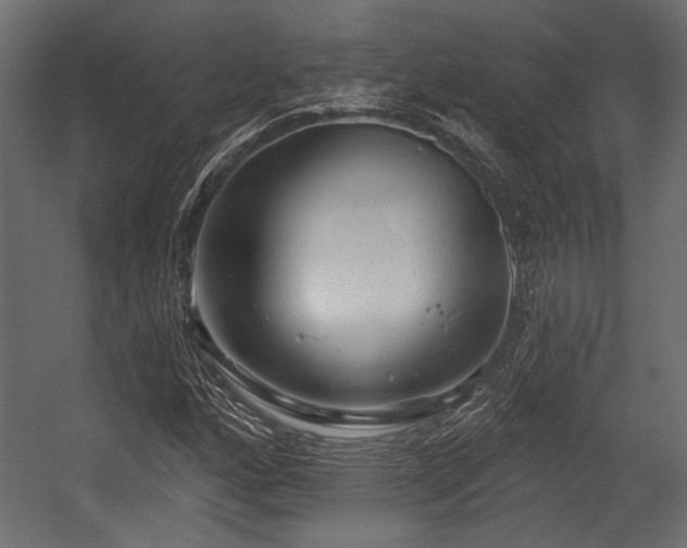 X0000054441160200508011422