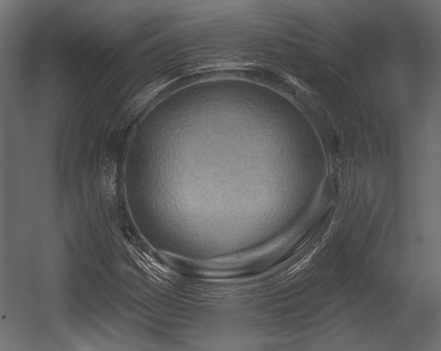 X0000054441161200508011422