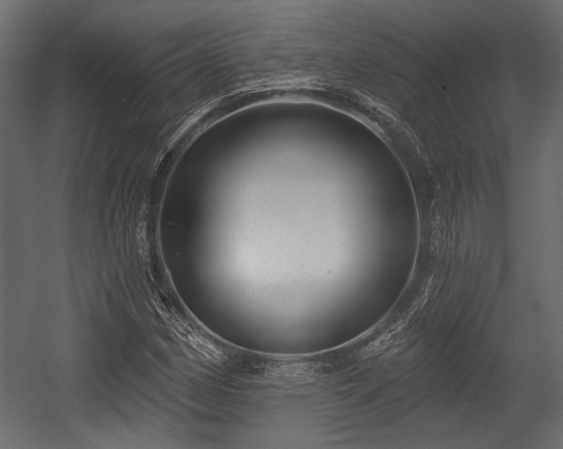 X0000054441162200508011422