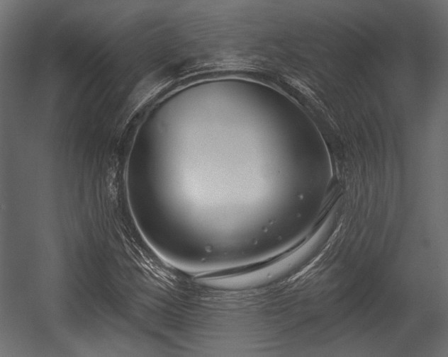 X0000054441163200508011422
