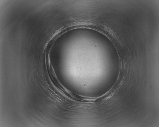 X0000054441165200508011422