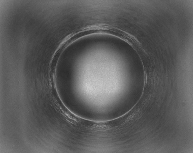 X0000054441168200508011422