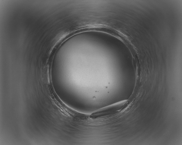 X0000054441171200508011422