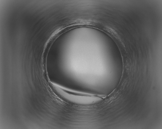 X0000054441172200508011422
