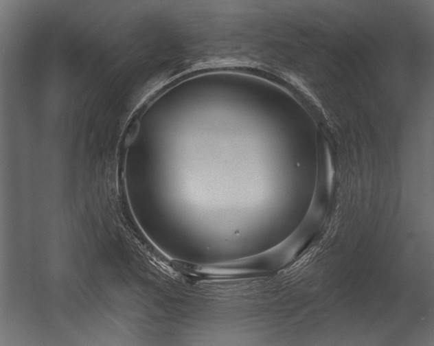 X0000054441173200508011422