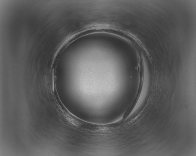 X0000054441175200508011422