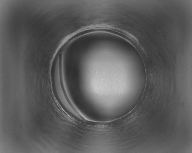 X0000054441176200508011422