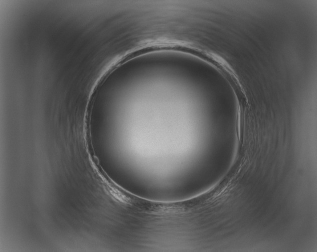 X0000054441183200508011422