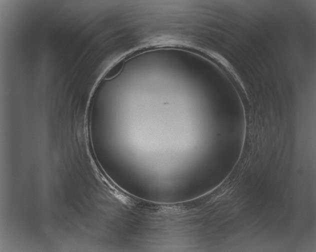 X0000054441191200508011421
