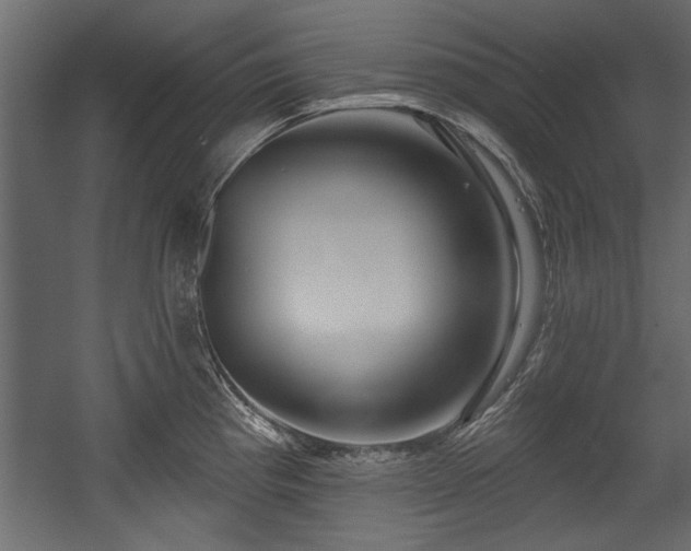 X0000054441193200508011421