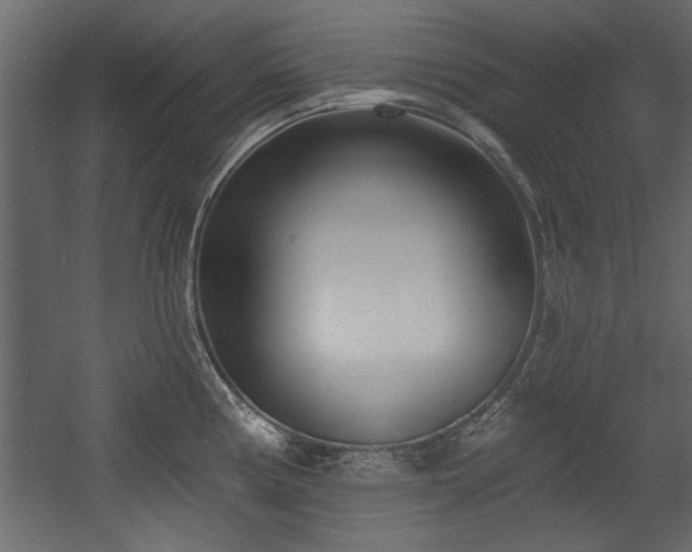 X0000054441194200508011421
